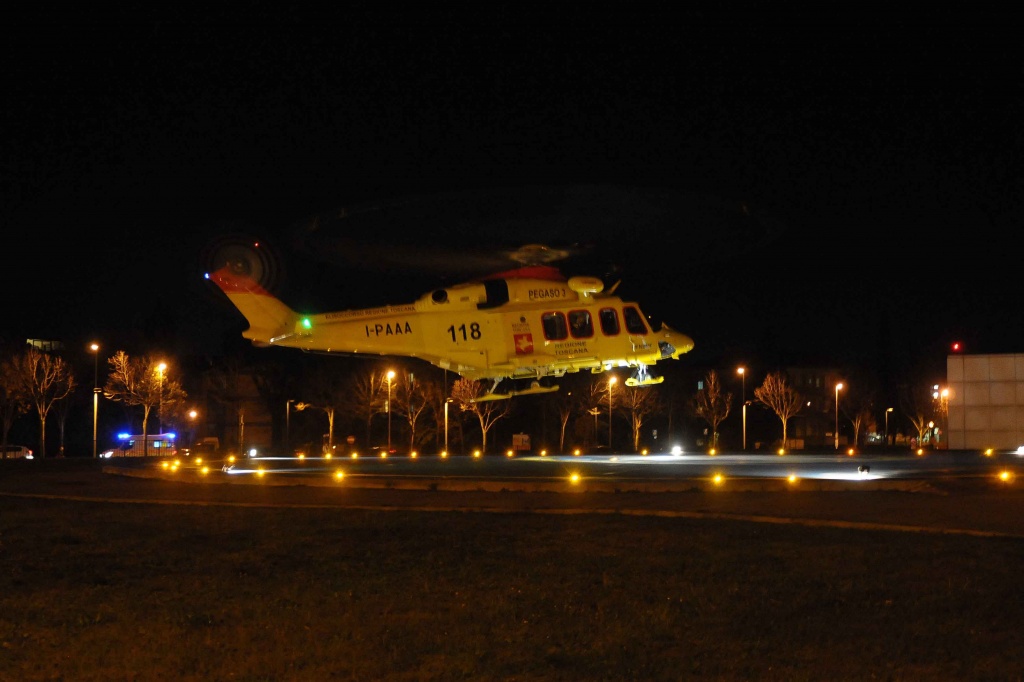 1581789398_Pegaso