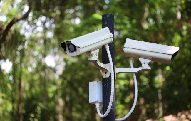 1581842553_Sicurezza