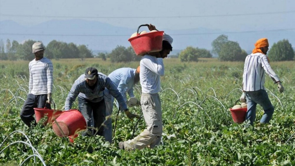 Agricoltura aretina: 2 mila imprese, 3 mila addetti. Piantato il primo “seme” della Rete agricola di qualità