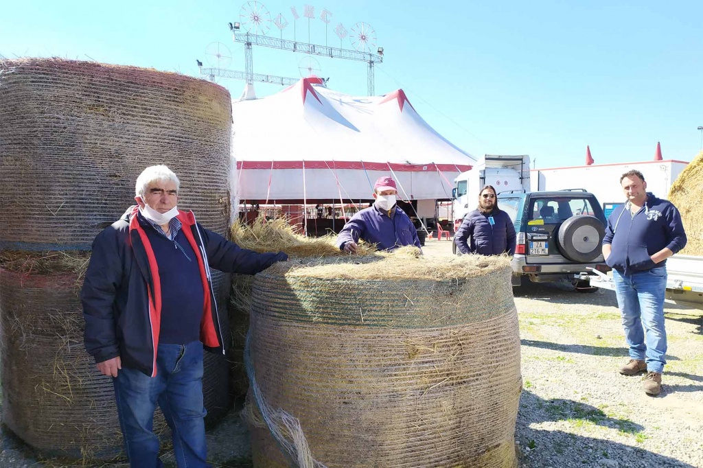 1585900756_La_Chianina_-_Donazione_circo_Orfei_1
