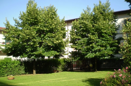 1590827384_1588094265_RSA_Montevarchi_o