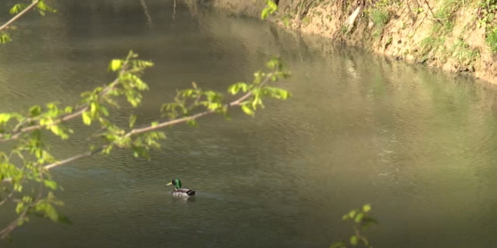 1591352525_1588755800_2_o