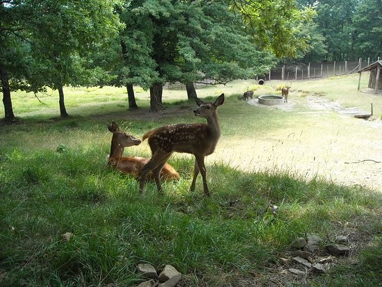 1593192120_parco_di_ranco_spinoso
