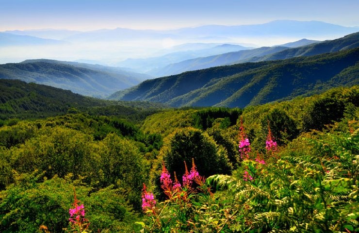1595254268_1591714237_Casentino-Toscana_o