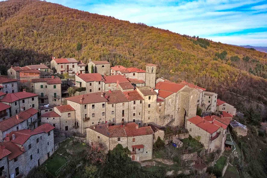 1596786139_Brigata_di_Raggiolo_-_Panorama_Raggiolo_1