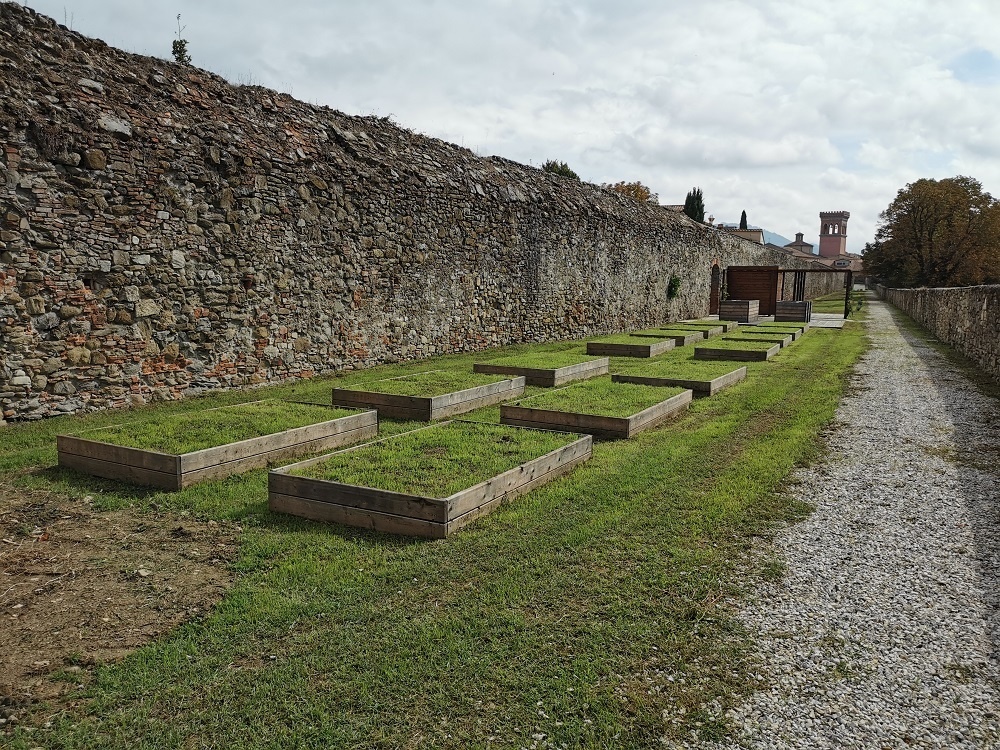 Premio “La Città per il Verde 2020”, Sansepolcro sullo scalino più alto del podio