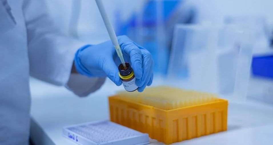 1610993472_coronavirus_analisi
