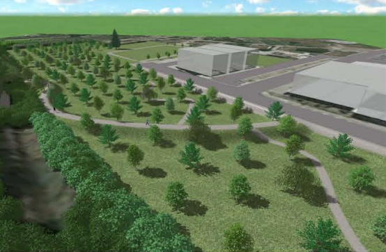 San Giovanni più verde con il progetto Carbon Neutral 2030