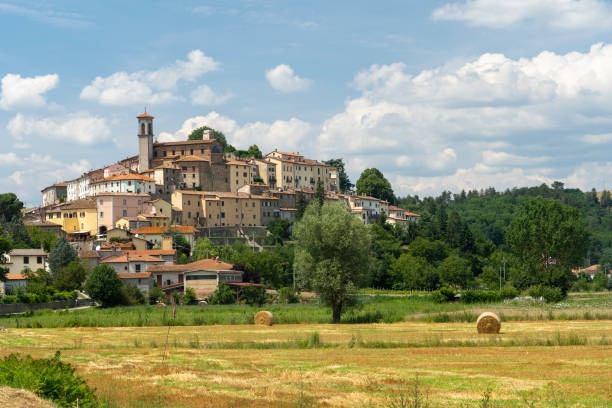 1615831456_Monterchi