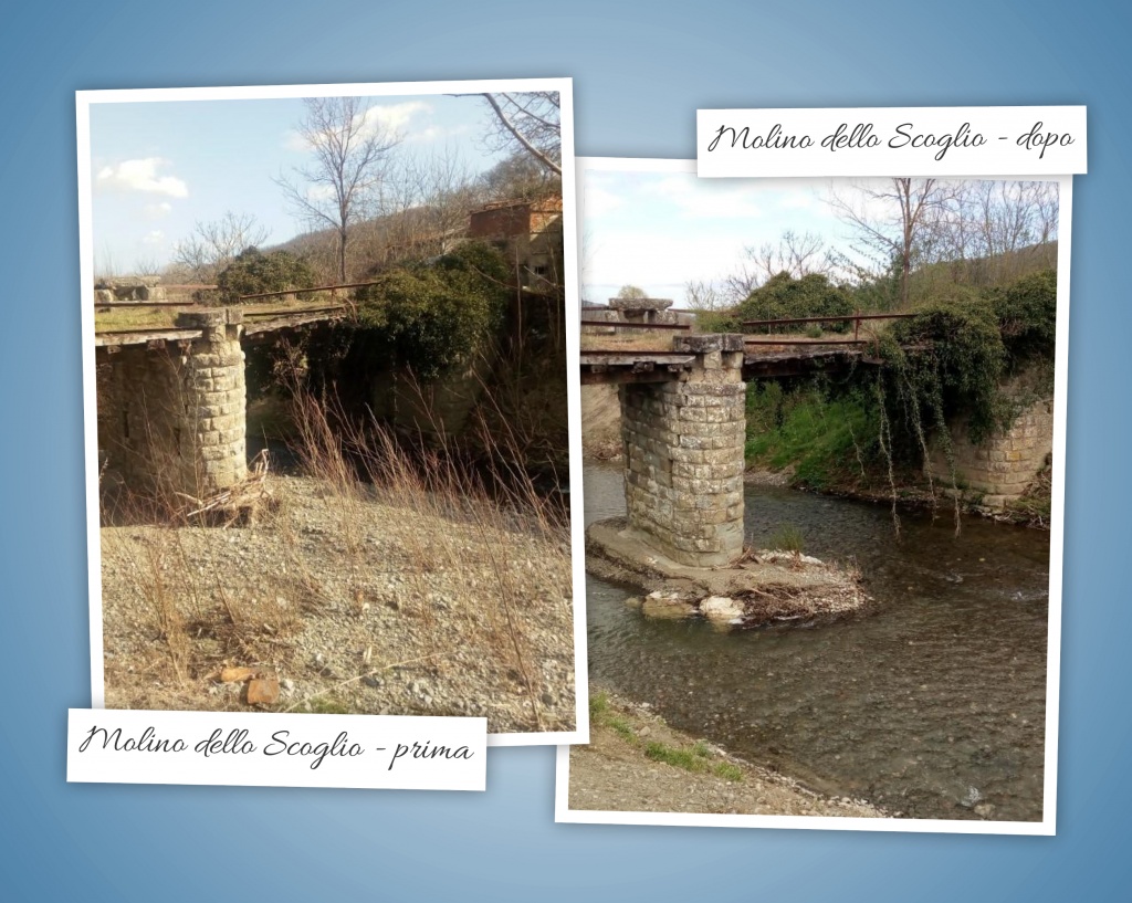 1618930496_foto