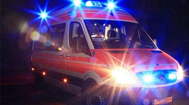 Incidente nella notte: in moto contro un cinghiale lungo la Sr71