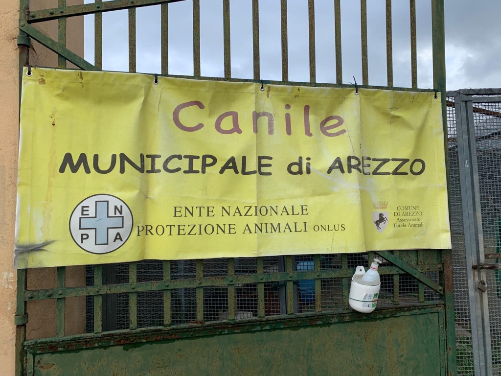 1631680101_canile_arezzo