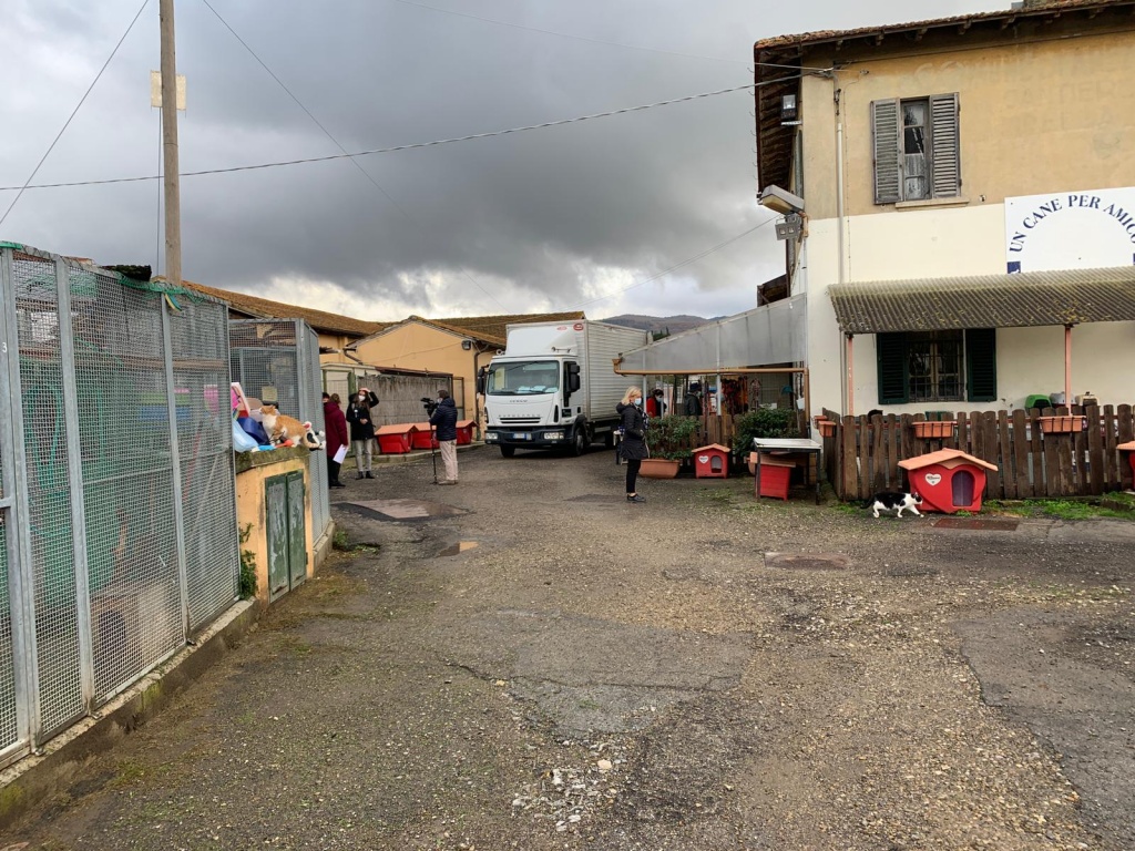 1633068945_canile_municipale_arezzo