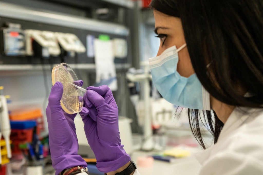 1637066709_1629989898_1621265431_1619617333_coronavirus_analisi_o_o_o