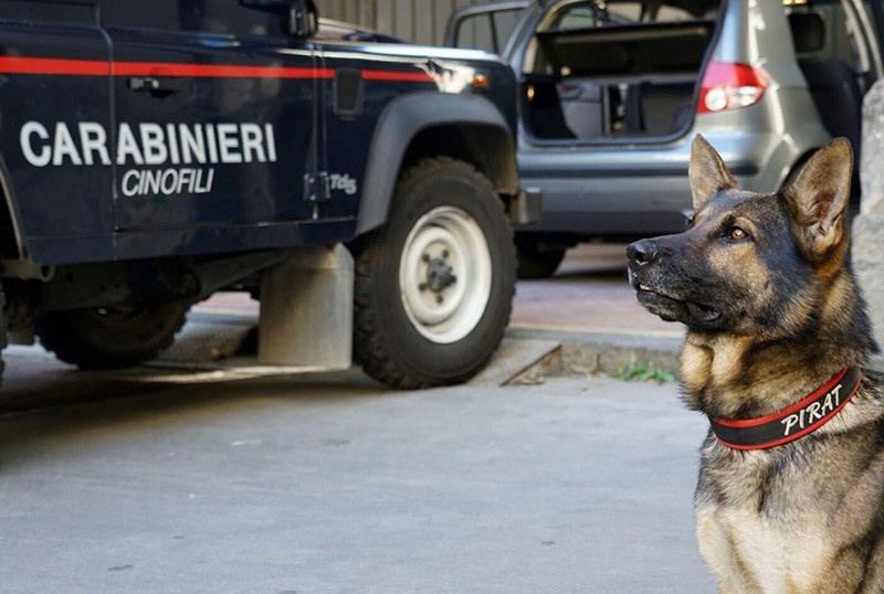 1653595285_1652966222_1578727962_unita-cinofila-carabinieri_o_o