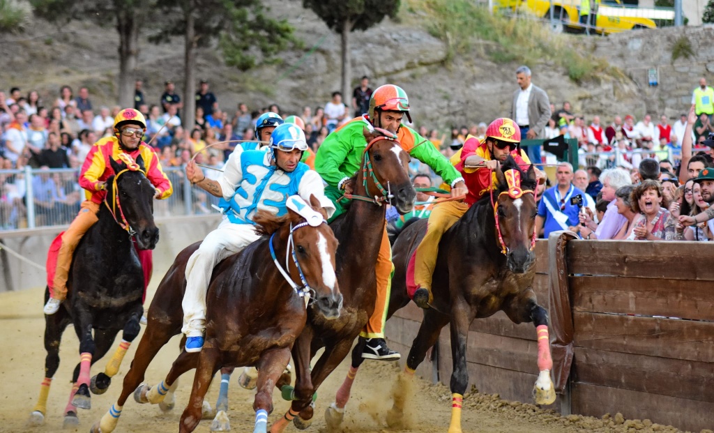 1655200556_1653196582_Palio_o