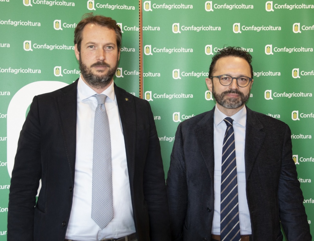 1657099586_bartolini_baldelli_-_ghini_IMG_1431_low