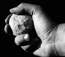 In un’estate pazza, parole di saggezza