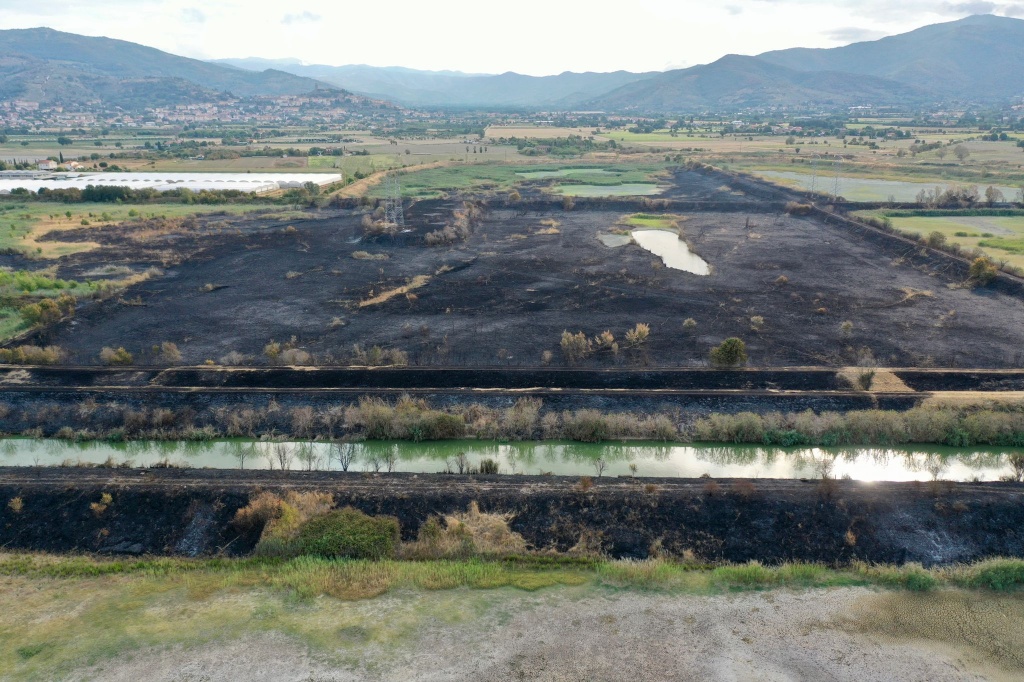 1659770271_INCENDIO_SADAM