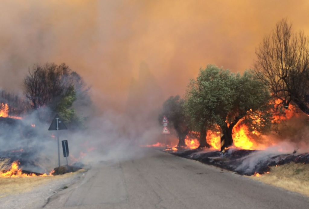 1659978440_incendio_montegualandro_04