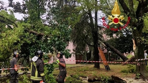 1660824600_alberi_caduti_