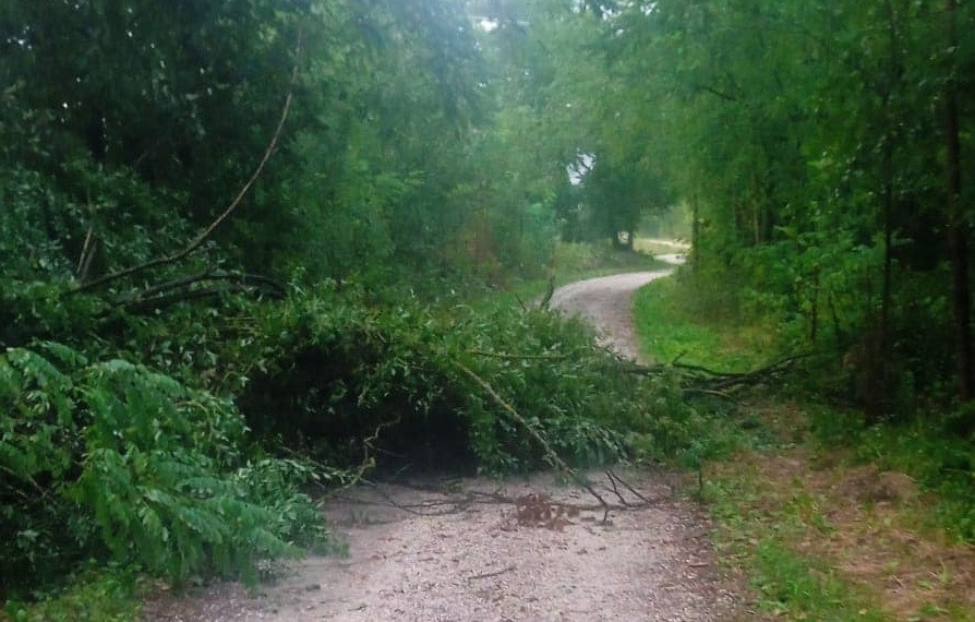 Maltempo, in Casentino decine di alberi caduti, colpito traliccio Enel