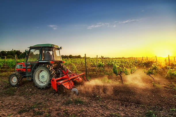 1664777948_AGRICOLTURA