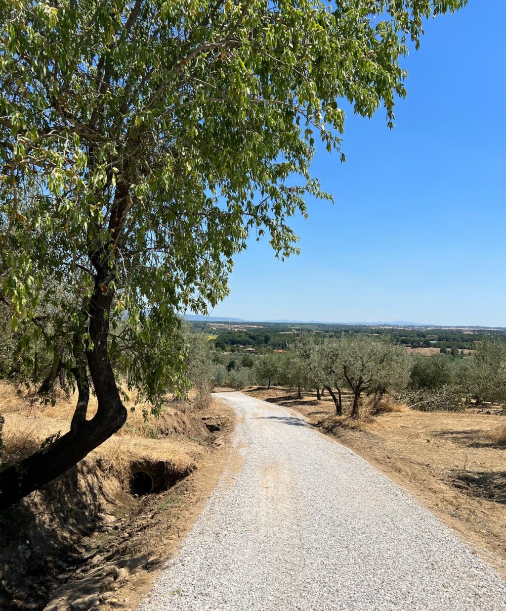 1665377821_221008-CIVI-2-StradeBianche