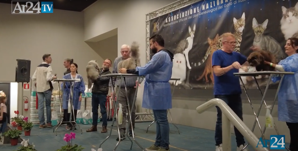 Expo felina ad Arezzo Fiere, una due giorni di grande successo Ar24Tv