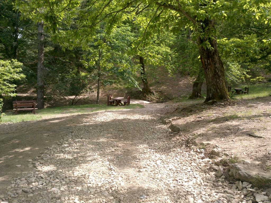 1673768832_casentino_sentieri_1