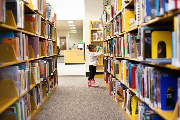 1673950311_biblioteca_bimba