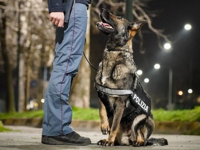 1674306312_cane_polizia