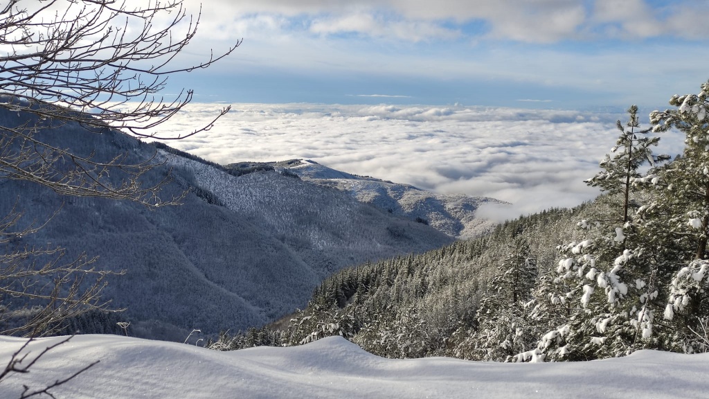 1674312717_panorama_dal_Pratomagno