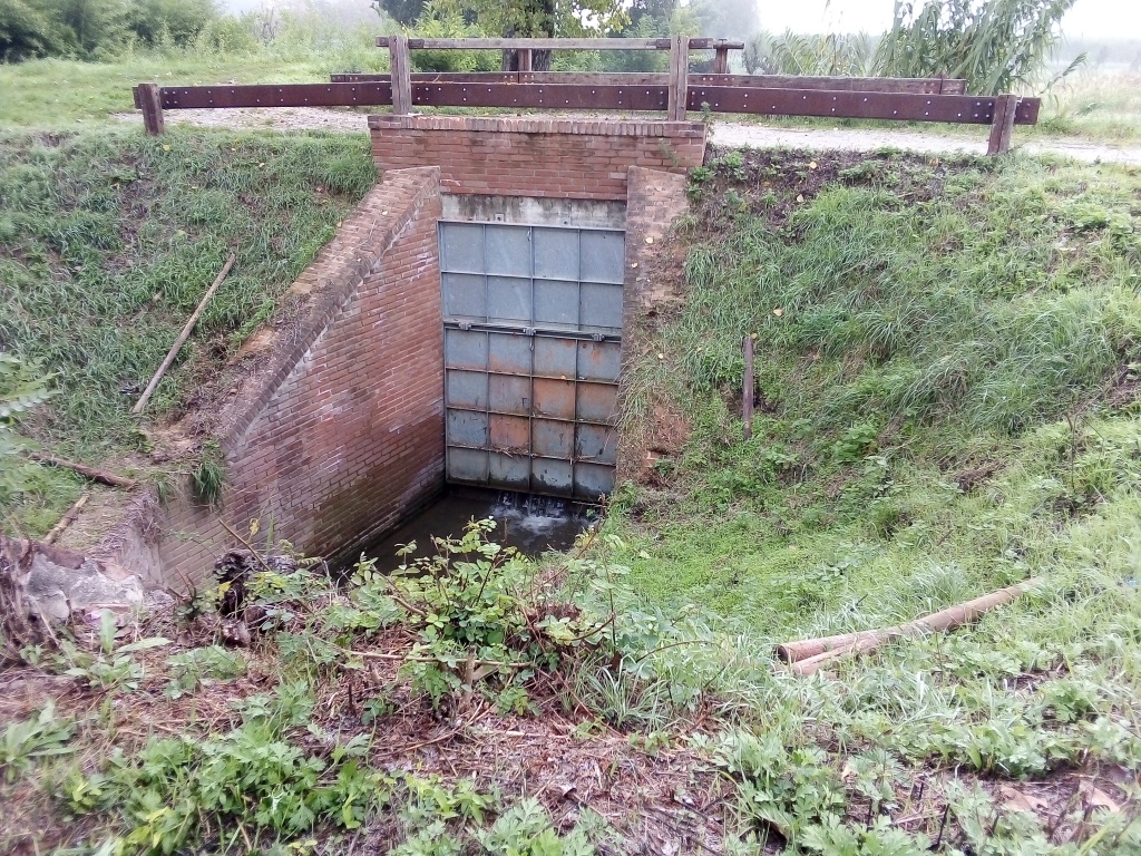1675495030_montevarchi_salva_vivai2_o
