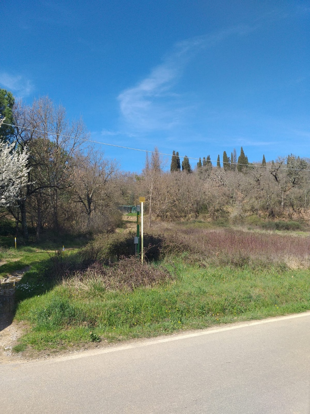 1679556325_IMG-20230322-WA0019