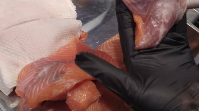 1679726985_sequestro-pesce-arezzo
