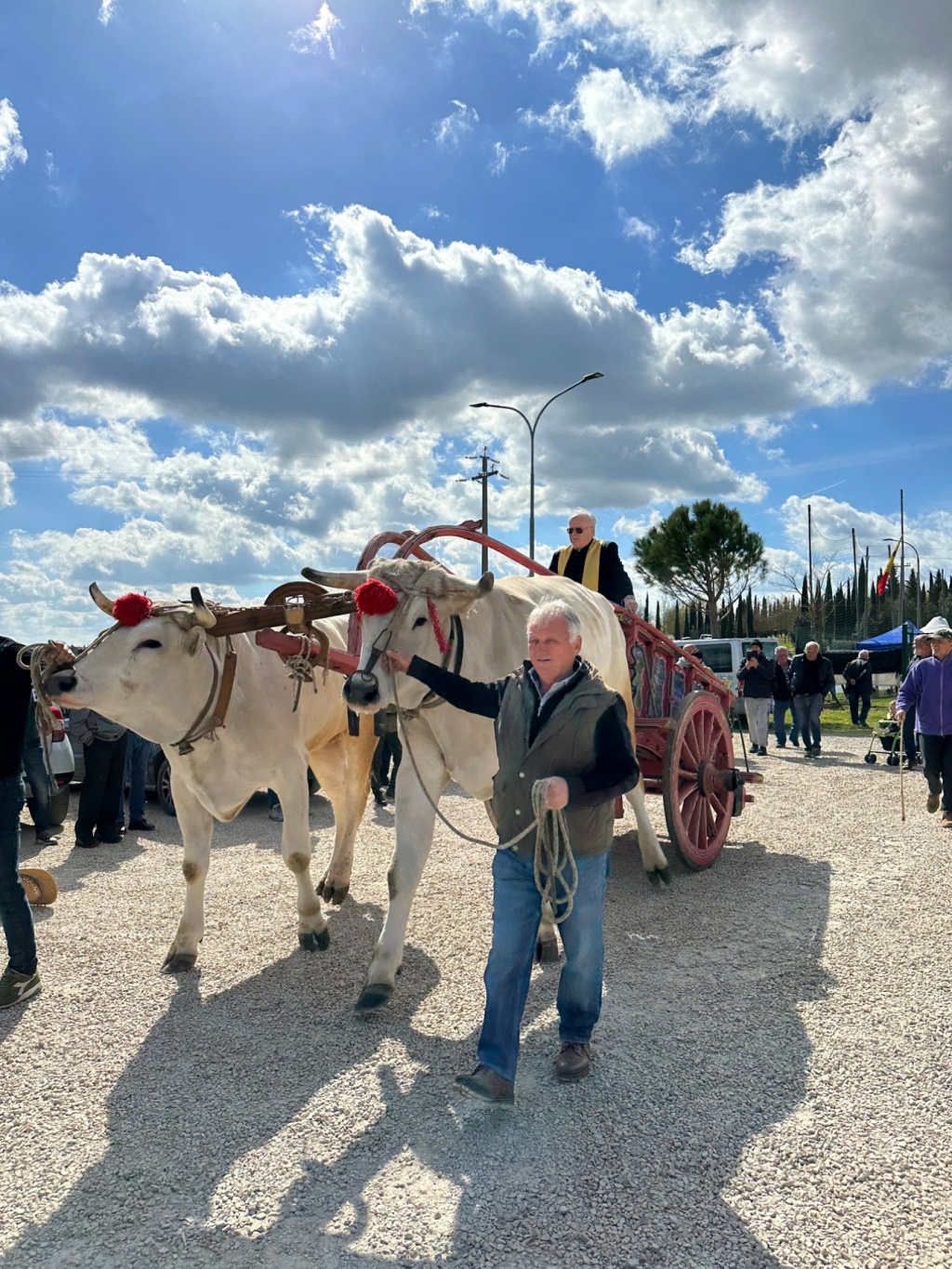 1679754365_Mostra_Chianina_Fratticciola_23_02_carro_don_giovanni