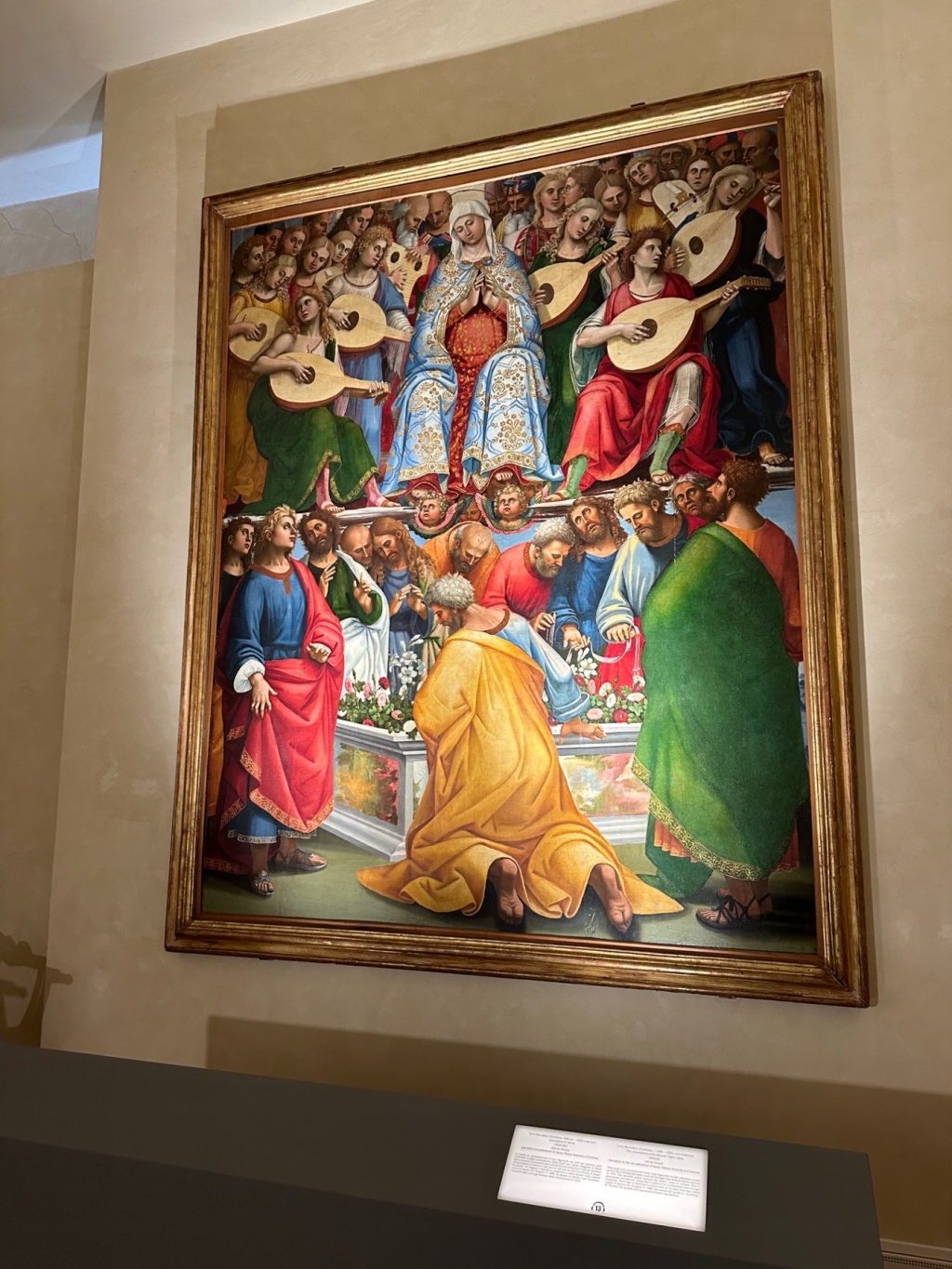 1681544030_signorelli_diocesano
