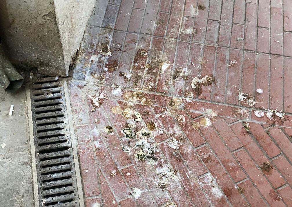 San Giovanni, degrado in centro. Liste Civiche presentano interrogazione