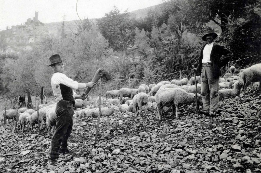 1685867630_Brigata_di_Raggiolo_-_La_transumanza_tra_Casentino_e_Maremma_1