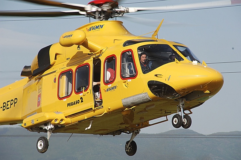1692895990_pegaso_2_o
