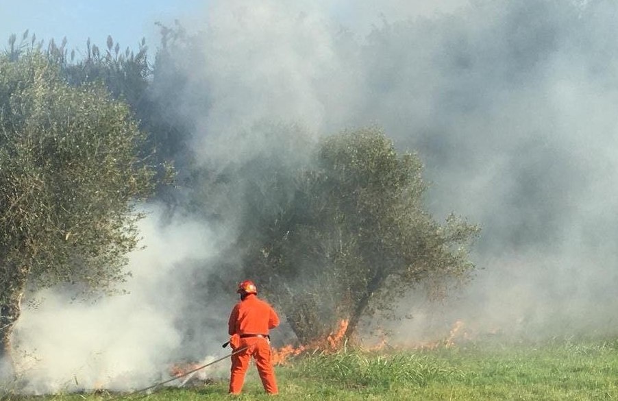 1693748616_1657036286_incendio