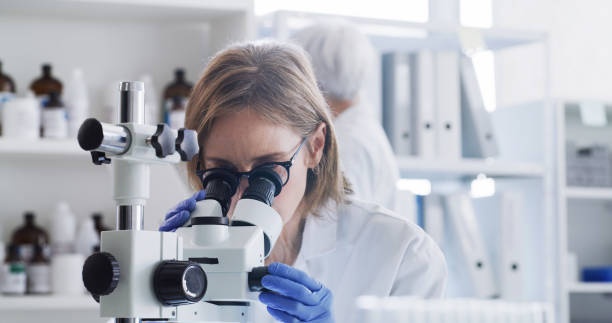 1697904950_laboratorio