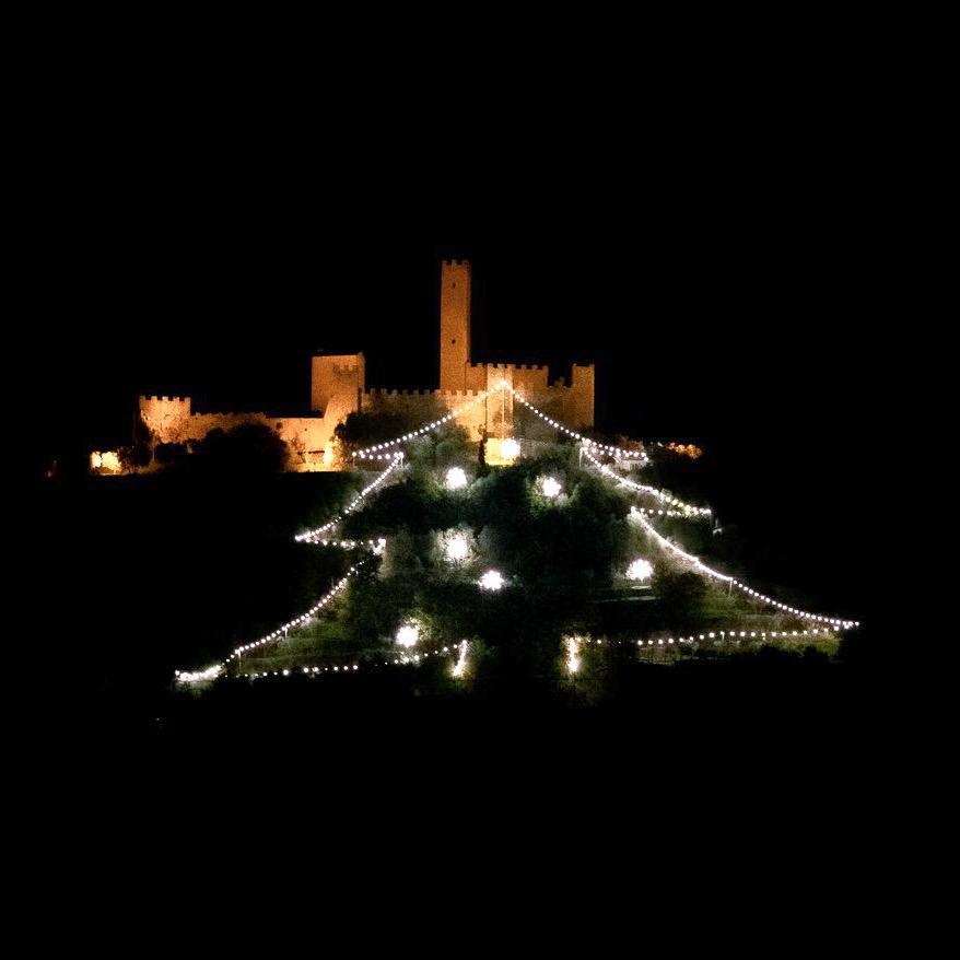 1702112212_Albero_luminoso_Montecchio_Vesponi_2023_1