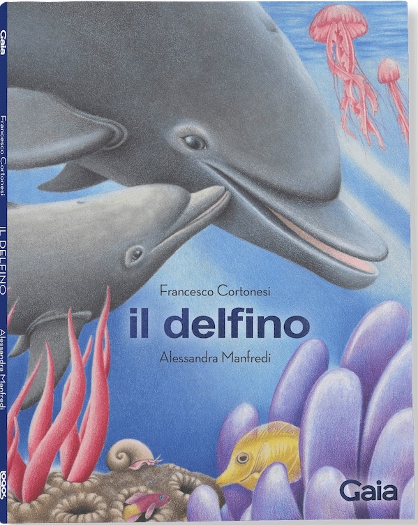 1702201170_il_delfino