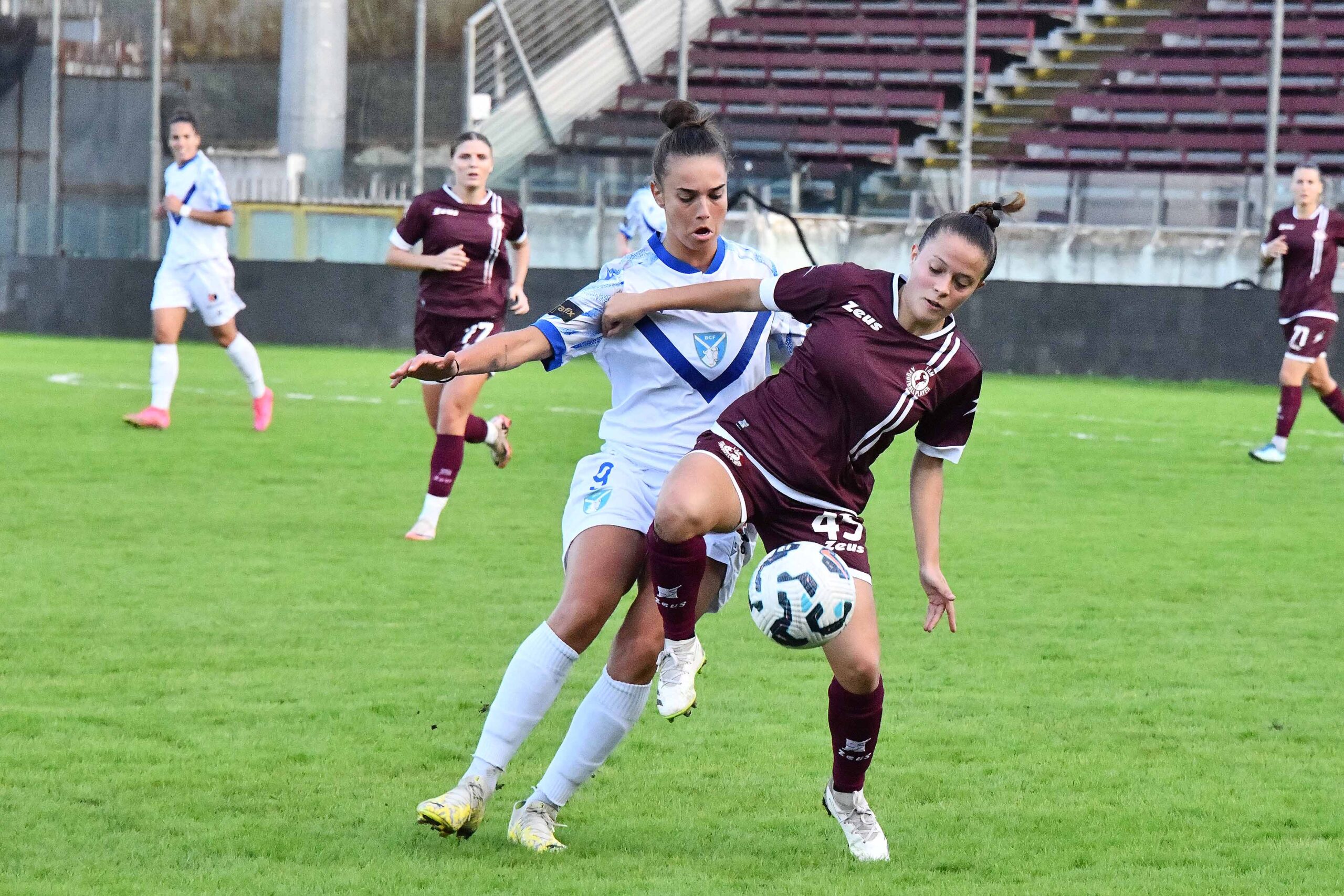 sara nasoni