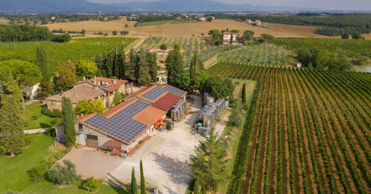 vendemmia_san_luciano_2020_170-1200×627