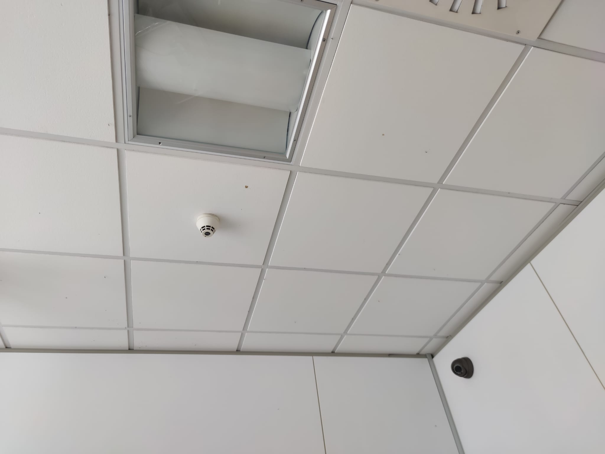 Zanzare in ospedale